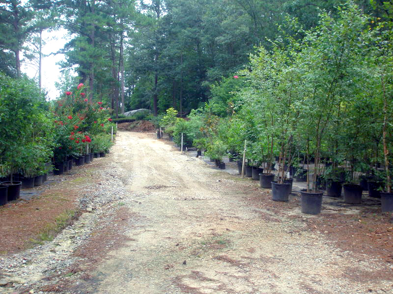 Nursery