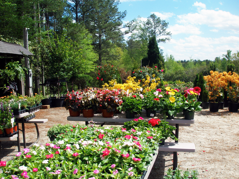 Nursery